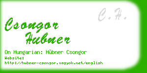 csongor hubner business card