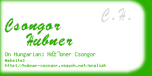 csongor hubner business card